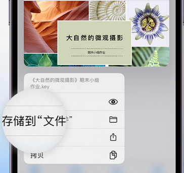 浑源apple维修中心分享iPhone文件应用中存储和找到下载文件