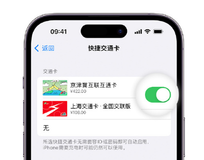 浑源apple维修点分享iPhone上更换Apple Pay快捷交通卡手绘卡面 