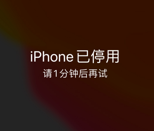 浑源苹果手机维修分享:iPhone 显示“不可用”或“已停用”怎么办？还能保留数据吗？ 