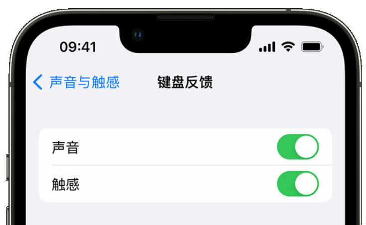 浑源苹果手机维修分享iPhone 14触感键盘使用方法 