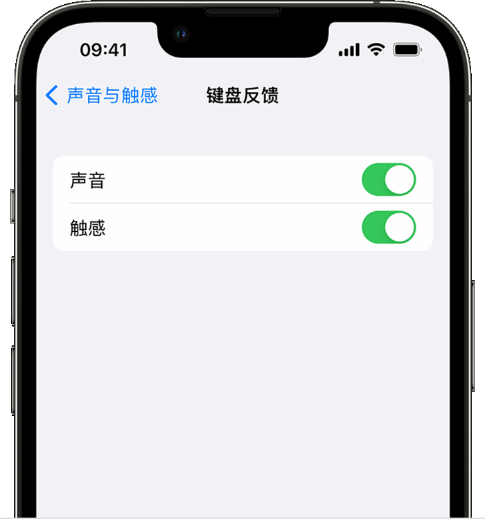 浑源苹果14维修店分享如何在 iPhone 14 机型中使用触感键盘 