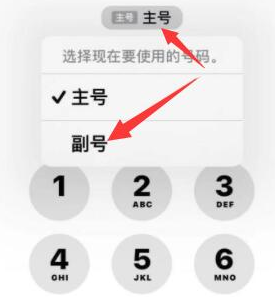 浑源苹果14维修店分享iPhone 14 Pro Max使用副卡打电话的方法 