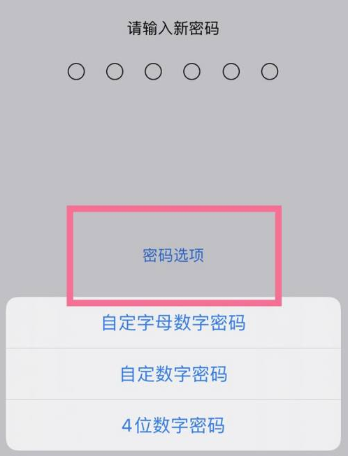 浑源苹果14维修分享iPhone 14plus设置密码的方法 