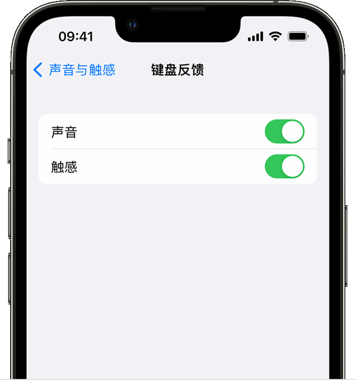 浑源苹果14维修分享iPhone 14 系列机型如何开启键盘声音或触感反馈 