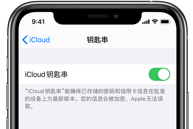 浑源苹果手机维修分享在 iPhone 上开启 iCloud 钥匙串之后会储存哪些信息 