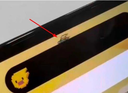 浑源苹果14维修分享iPhone 14 Pro Max灵动岛怎么养宠物 