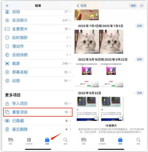 浑源苹果手机维修分享iOS 16 中相册重复项目功能使用方法 