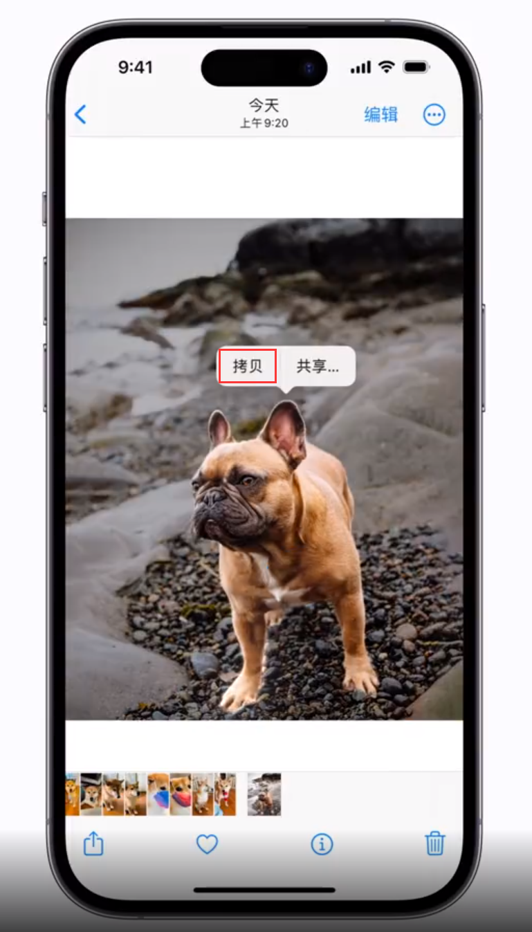 浑源苹果手机维修分享 iOS 16 自带一键抠图功能 