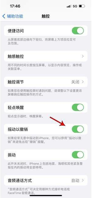 浑源苹果手机维修分享iPhone手机如何设置摇一摇删除文字 
