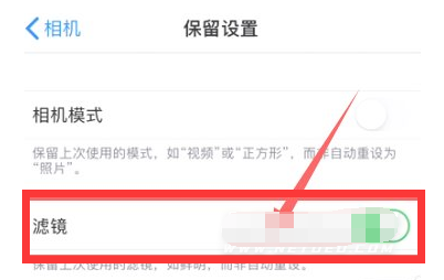 浑源苹果13维修分享iPhone13拍照有绿点是怎么回事 