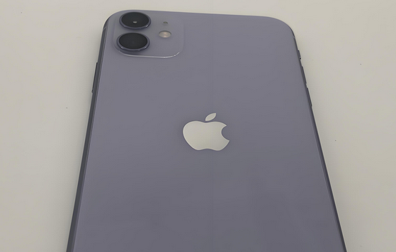 浑源苹果11系统维修分享iPhone11手机系统崩溃无法开机如何解决 